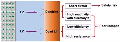 A Review of Carbon-Based Materials for Safe Lithium Metal Anodes